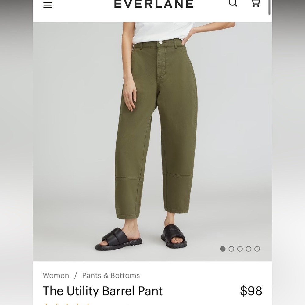 Everlane utility pant NWT never worn
